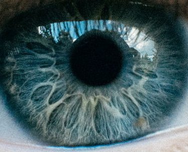 Ein klarer Blick für Ihre Bewerbungs-Infrastruktur! Ein klarer Blick für Ihre Bewerbung. Bewerbungs-Coaching für MINT Wissenschaftler.